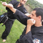 FU SHIH KENPO KARATE ITALIA